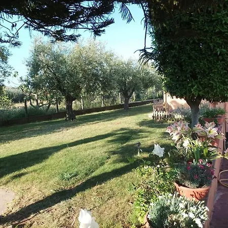 Vila Villa Fiore Nettuno