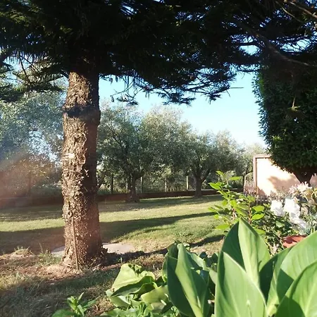 Villa Fiore